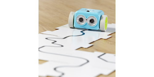 2935-botley-backline_1-1-2