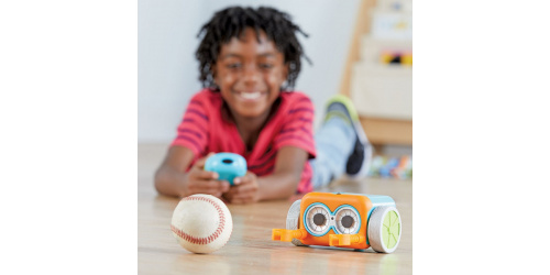 2936-botley-boy-older-2-2